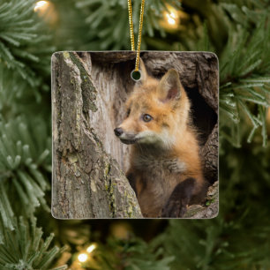 Small Red Fox in a Tree Hollow Keramisch Ornament