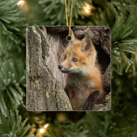 Small Red Fox in a Tree Hollow Keramisch Ornament (Boom)