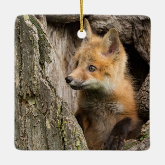 Small Red Fox in a Tree Hollow Keramisch Ornament (Achterkant)