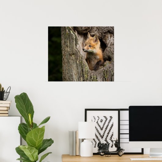 Small Red Fox in a Tree Hollow Poster (Thuiskantoor)