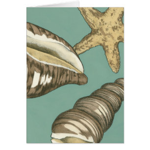 Small Shell Trio op Blauwgroen