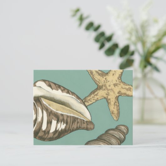 Small Shell Trio op Blauwgroen Briefkaart (Staand voorkant)