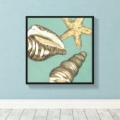 Small Shell Trio op Blauwgroen Canvas Afdruk (Insitu (Houten vloer))