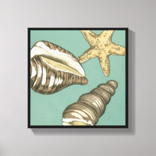 Small Shell Trio op Blauwgroen Canvas Afdruk