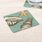 Small Shell Trio op Blauwgroen Kartonnen Onderzetters (Schuin)