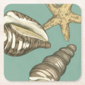 Small Shell Trio op Blauwgroen Kartonnen Onderzetters (Voorkant)