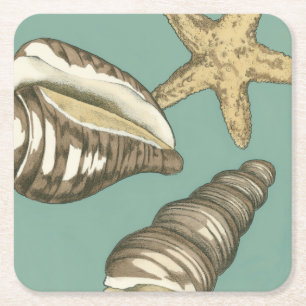 Small Shell Trio op Blauwgroen Kartonnen Onderzetters