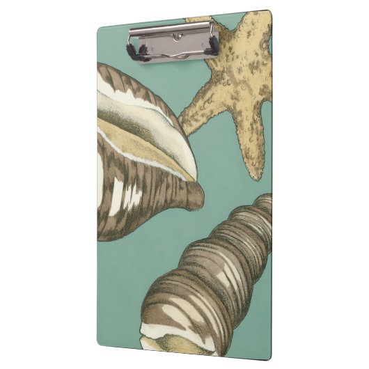 Small Shell Trio op Blauwgroen Klembord (Links)