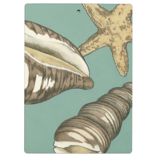 Small Shell Trio op Blauwgroen Klembord (Achterkant)