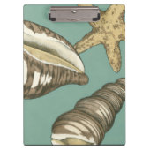 Small Shell Trio op Blauwgroen Klembord (Voorkant)