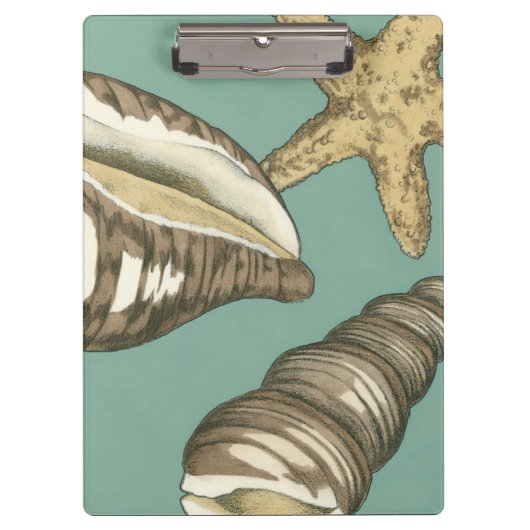 Small Shell Trio op Blauwgroen Klembord (Voorkant)