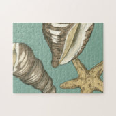 Small Shell Trio op Blauwgroen Legpuzzel (Horizontaal)