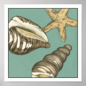 Small Shell Trio op Blauwgroen Poster (Voorkant)