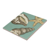 Small Shell Trio op Blauwgroen Tegeltje (Zijkant)