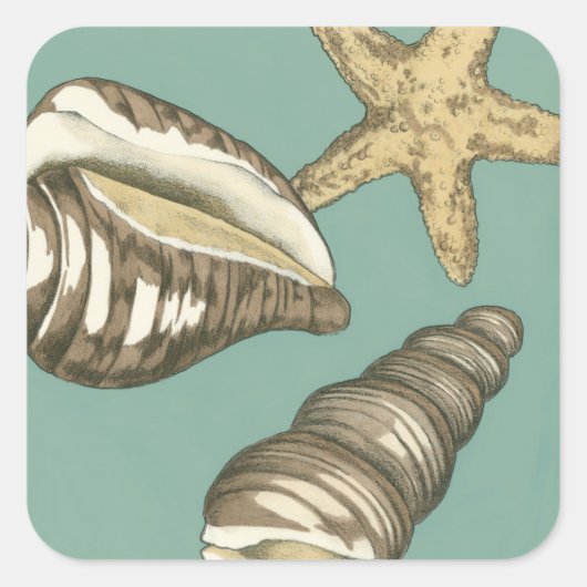 Small Shell Trio op Blauwgroen Vierkante Sticker (Voorkant)