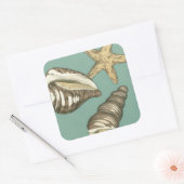 Small Shell Trio op Blauwgroen Vierkante Sticker (Envelop)