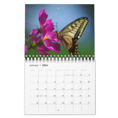 Small Size Beautiful Butterflies Calendar Kalender (Jan 2026)