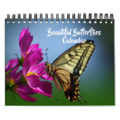 Small Size Beautiful Butterflies Calendar Kalender (Hoes)