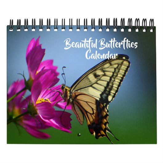 Small Size Beautiful Butterflies Calendar Kalender (Hoes)