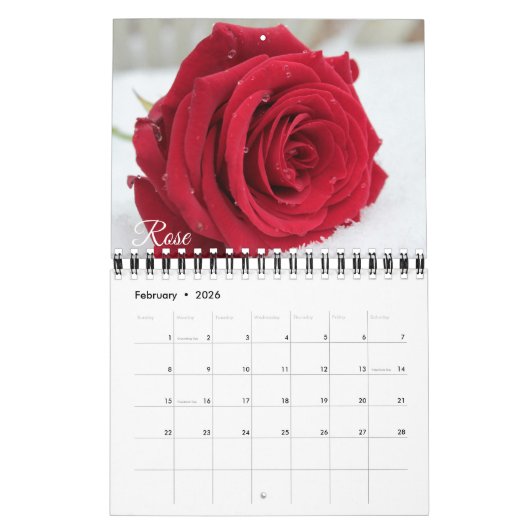 Small Size Beautiful Flowers Calendar Kalender (Feb 2026)
