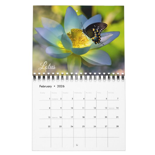 Small Size Beautiful Flowers Calendar Kalender (Feb 2026)