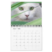 Small Size Cat Lovers Calendar Kalender (Mar 2026)