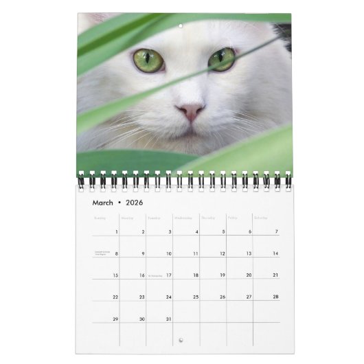 Small Size Cat Lovers Calendar Kalender (Mar 2026)