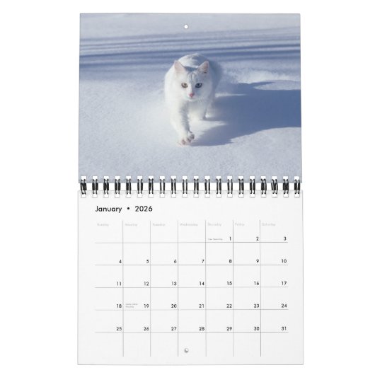 Small Size Cat Lovers Calendar Kalender (Jan 2026)