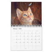Small Size Cat Lovers Calendar Kalender (Feb 2026)