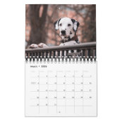 Small Size Dog Lovers Calendar Kalender (Mar 2026)