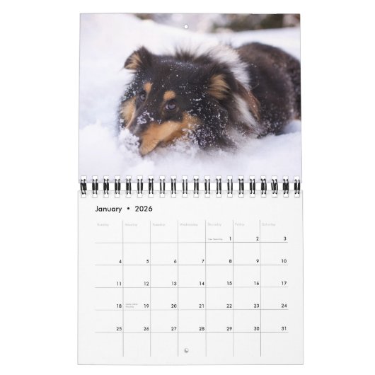 Small Size Dog Lovers Calendar Kalender (Jan 2026)