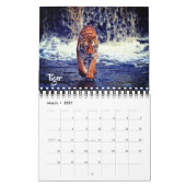 Small Size Exotic Animals Calendar Kalender (Mar 2027)