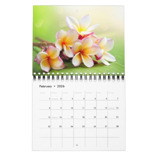 Small Size Exotic Flowers Calendar Kalender (Feb 2026)