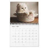 Small Size Kittens Calendar Kalender (Mar 2027)