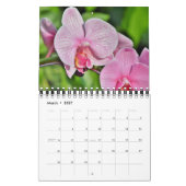 Small Size Orchids Calendar Kalender (Mar 2027)
