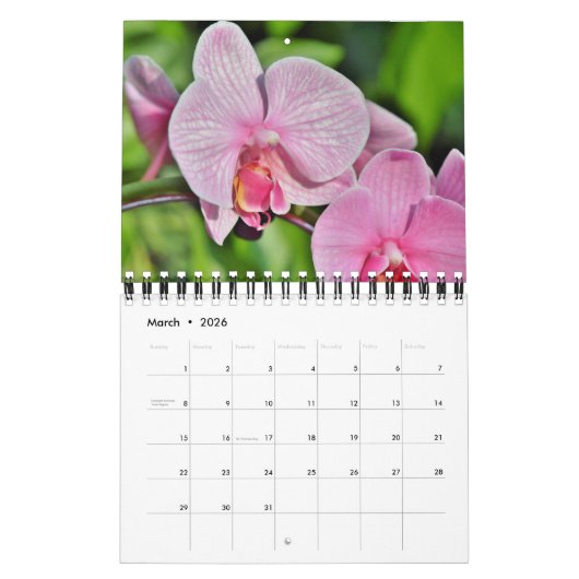 Small Size Orchids Calendar Kalender (Mar 2026)