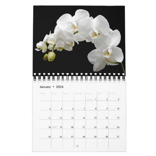 Small Size Orchids Calendar Kalender (Jan 2026)