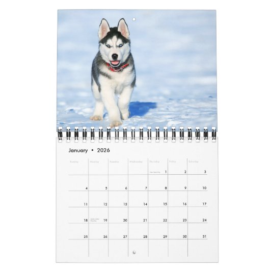 Small Size Puppy Love Calendar Kalender (Jan 2026)