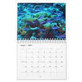 Small size Recommended! Underwater of Siquijor Kalender (Mar 2027)