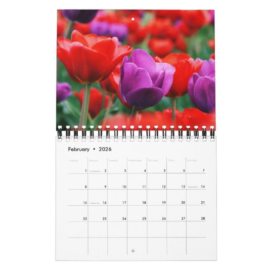 Small Size Tulips Calendar Kalender (Feb 2026)