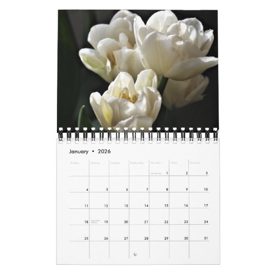Small Size Tulips Calendar Kalender (Jan 2026)