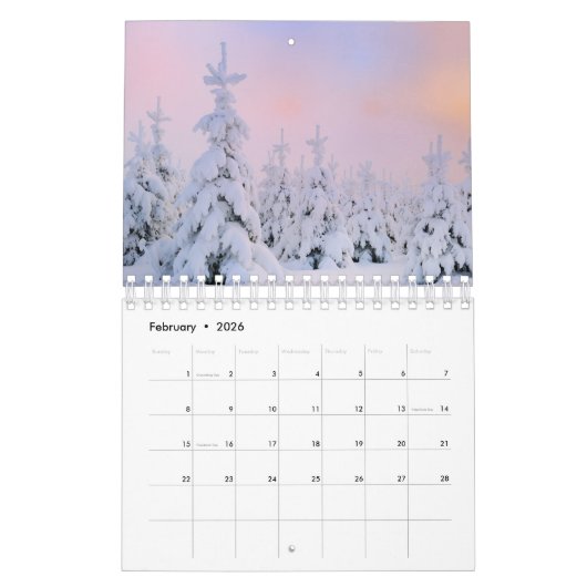 Small Size Winter Paradise Calendar Kalender (Feb 2026)