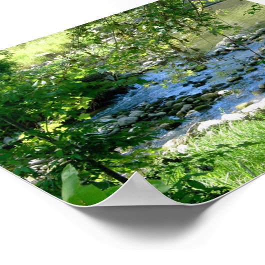 Small Stream Poster (Hoek)