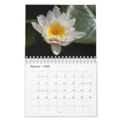 Small Water Lilies Calendar 2026 Kalender (Feb 2026)