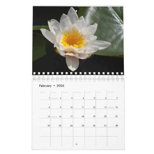 Small Water Lilies Calendar 2026 Kalender (Feb 2026)