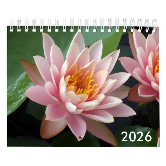 Small Water Lilies Calendar 2026 Kalender (Hoes)