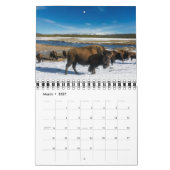 Small Yellowstone Park Calendar Kalender (Mar 2027)