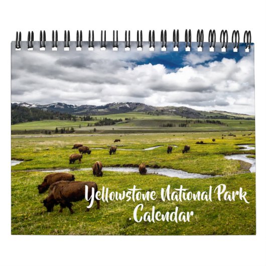 Small Yellowstone Park Calendar Kalender (Hoes)