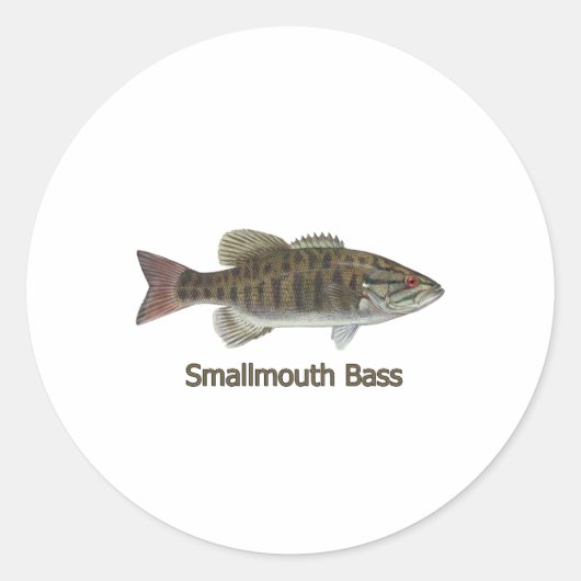 Smallmouth Bass Art (getiteld) Ronde Sticker (Voorkant)