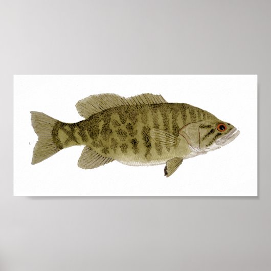 Smallmouth Bass Art Poster (Voorkant)